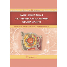 Функциональная и клиническая анатомия органа зрения